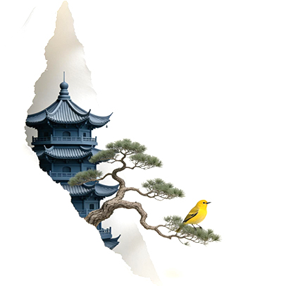 艺术纸_.jpg