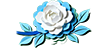 蓝花.png