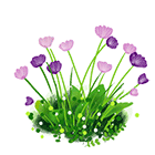 小紫花.gif
