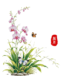 辰月。.gif