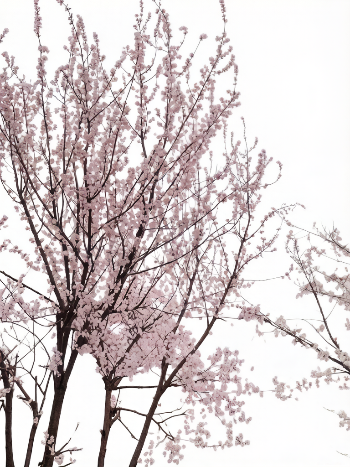 IMG_7585.png