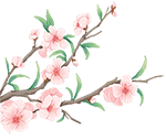 桃花枝.gif