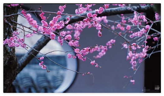 QQ_1776490037581.png