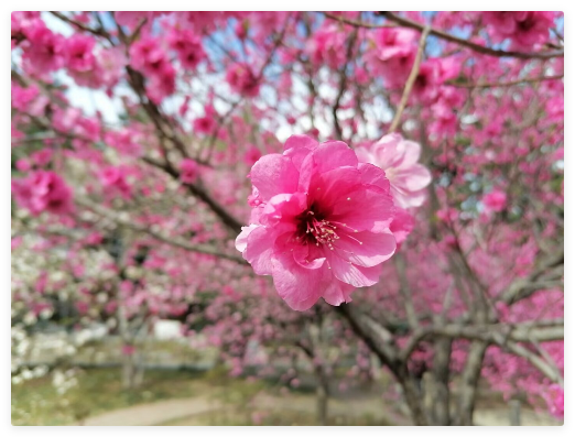 QQ_1776490898461.png