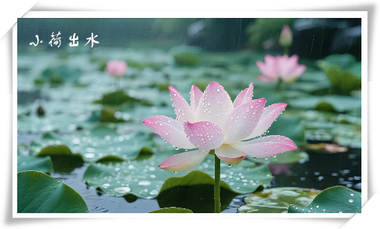 568aa8bb-f0ec-4085-bcdf-d5f77c945a0d.png