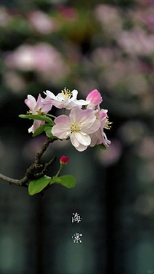 507c17c5dc6117cd572655e466cc3445.png