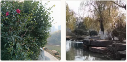 QQ_1776914266858.png