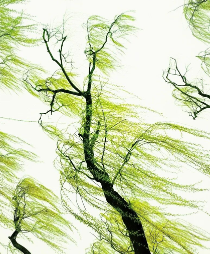 QQ_1776915387127.png