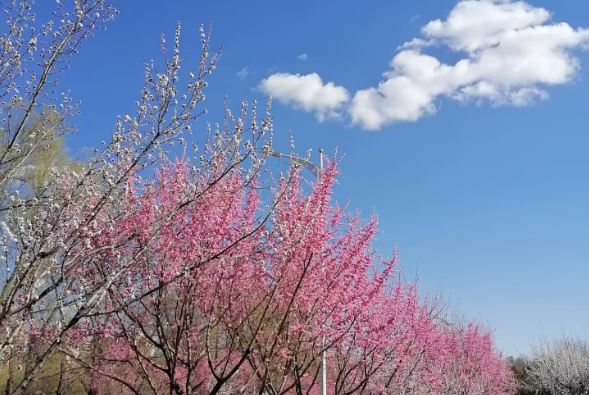 QQ_1776912761558.png