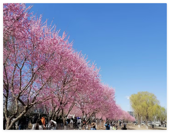 QQ_1776929755557.png
