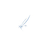 流星.png